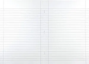 "Animal" Notizbuch, A4, liniert mit Rand, 40+2 Blätter, Pinguin, MITAMA 62744-90119
